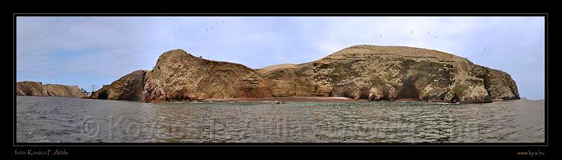 Ballestas Islands 041.jpg